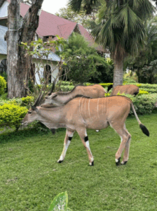 October 2025 – Investment: $4525