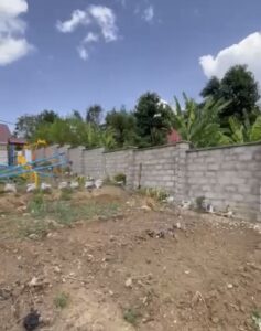 January 2026 – Investment: $8112